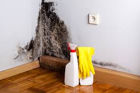  Montebello, CA Mold Removal Pros